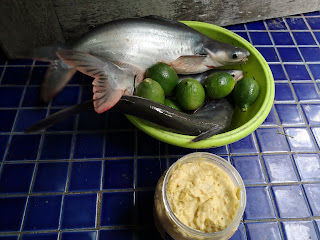 Resepi ikan patin masak tempoyak versi Temerloh - Cikguzim 