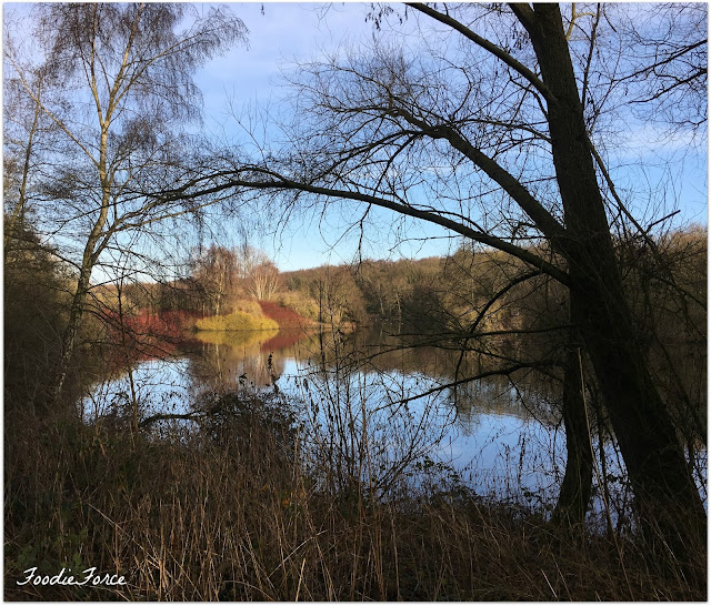 Rufford Abbey 