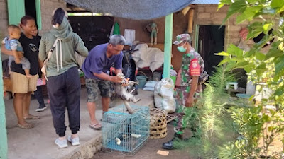 Babinsa Kawal Petugas Vaksinasi Rabies terhadap  Anjing dan Kucing Peliharaan
