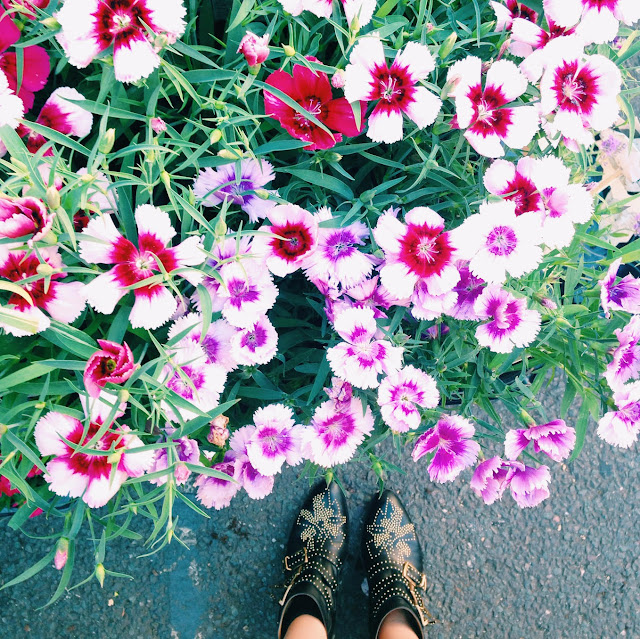 Chloe Boots, flower market via @fitzroyboutique