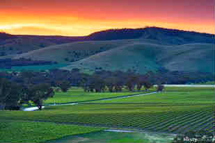 South Australia's beautiful Barossa Valley vineyards