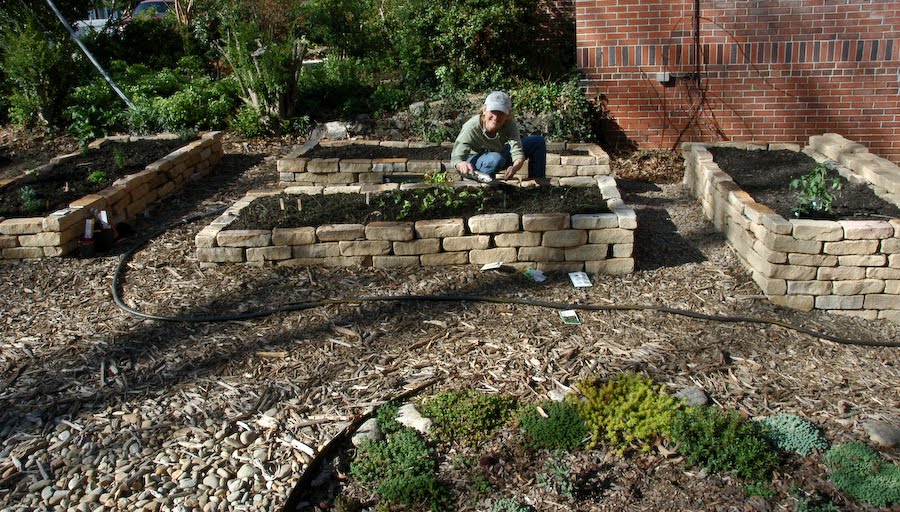 Natural Gardening: May 2010