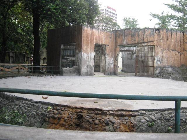 Manila Zoo Visit