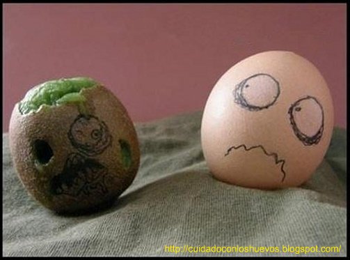 the walking egg cuidado con los huevos 