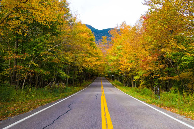 Foliage nel New England