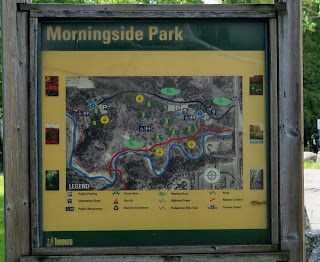 Hiking Morningside Park in Toronto for dog lovers