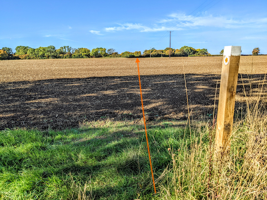 Cross the field following the line of the orange arrow