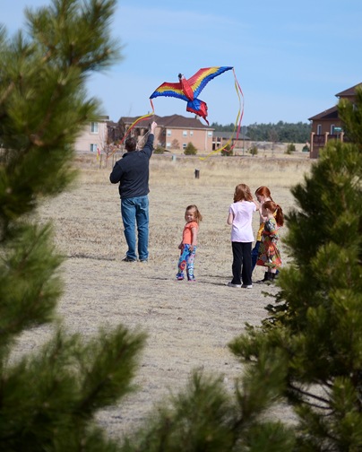 Kite4
