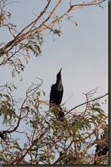 DSCF0549