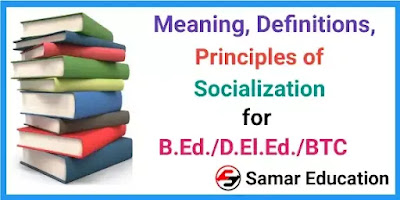 Meaning, Definitions, Principles of Socialization