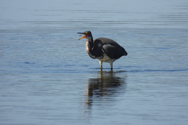 Guana River Wildlife Management Area