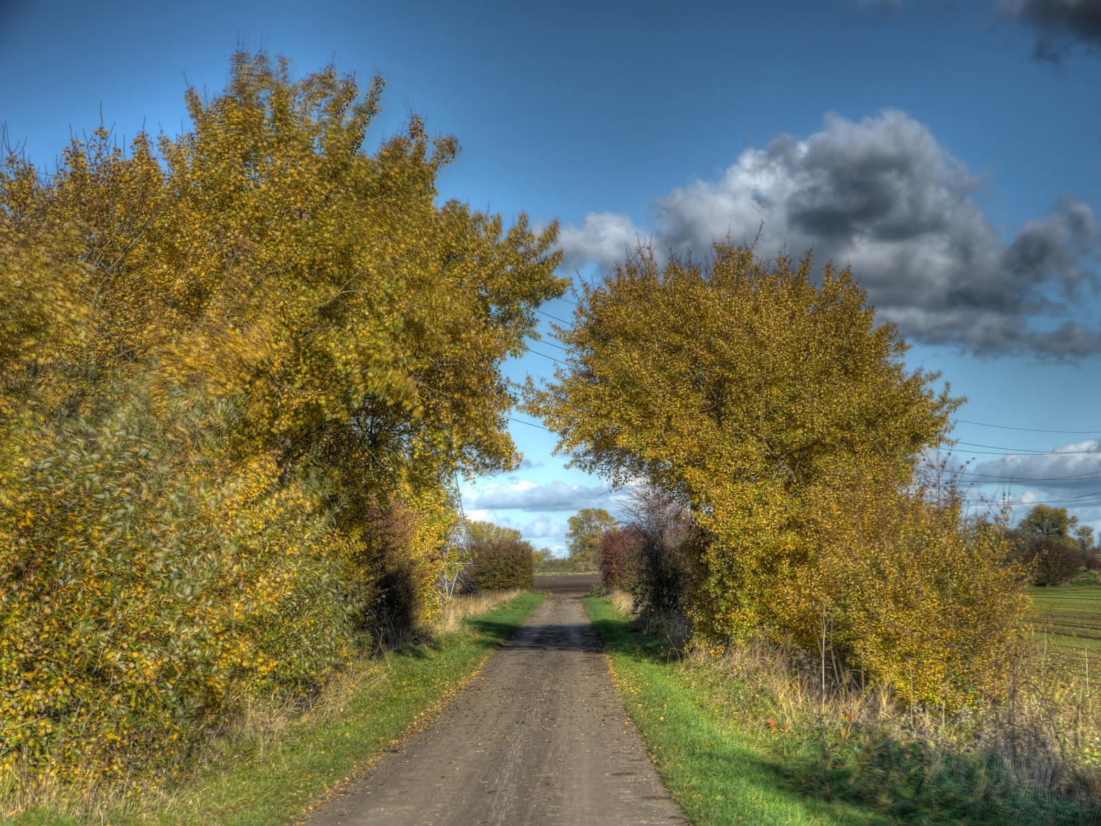 P1210090_1_2_3_4_5_6_tonemapped.jpg