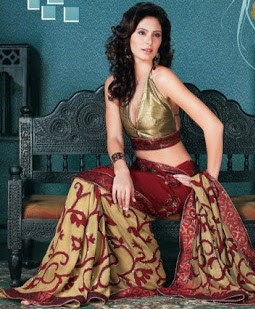 Saree Designs