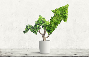 1 Growth Stock Down 32% to Buy on the Dip, According to Wall Street