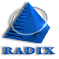 Radix-Junior Software Testing Engineer