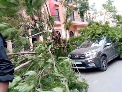 شاهد ما خلفته الرياح العاصفية بشوارع مراكش