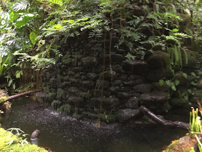 温室内の滝と水路