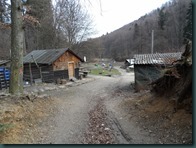 SAM_0395