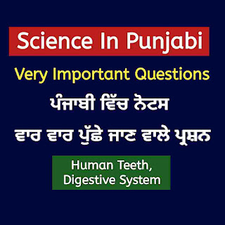 Science GK Questions in Punjabi - Science in Punjabi Important Questions