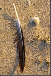 feather