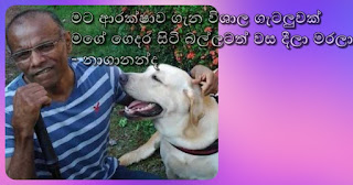 "Big problem about my security ... dog in my home too killed by poisoning" -- Nagananda
