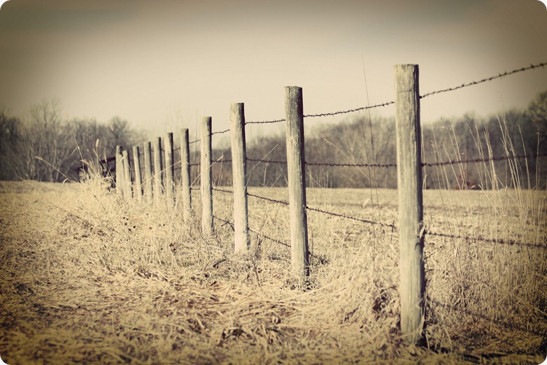 IMG_9298_edit