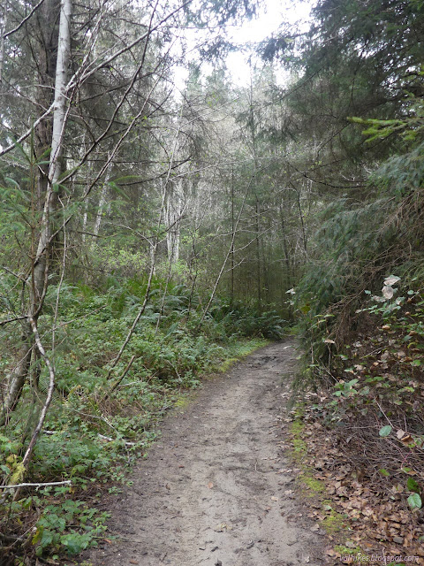 16: narrow road, wide trail
