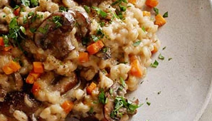 SLOW cookware MUSHROOM BARLEY Italian rice
