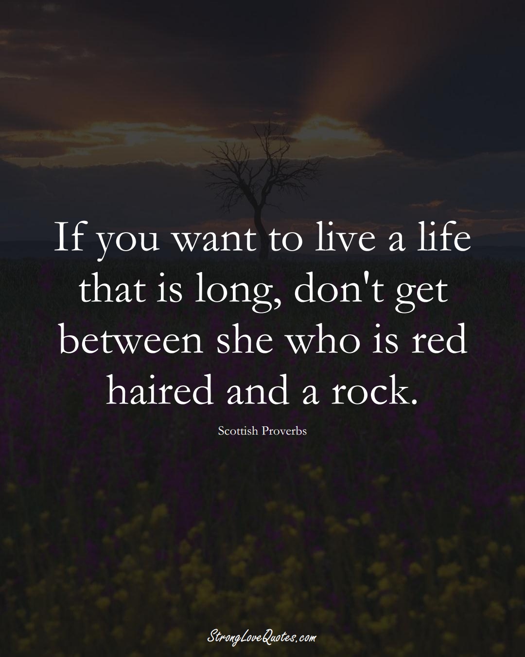 If you want to live a life that is long, don't get between she who is red haired and a rock. (Scottish Sayings);  #EuropeanSayings