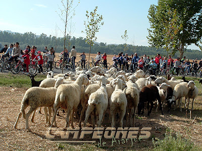 Día de la Bicicleta Aranjuez