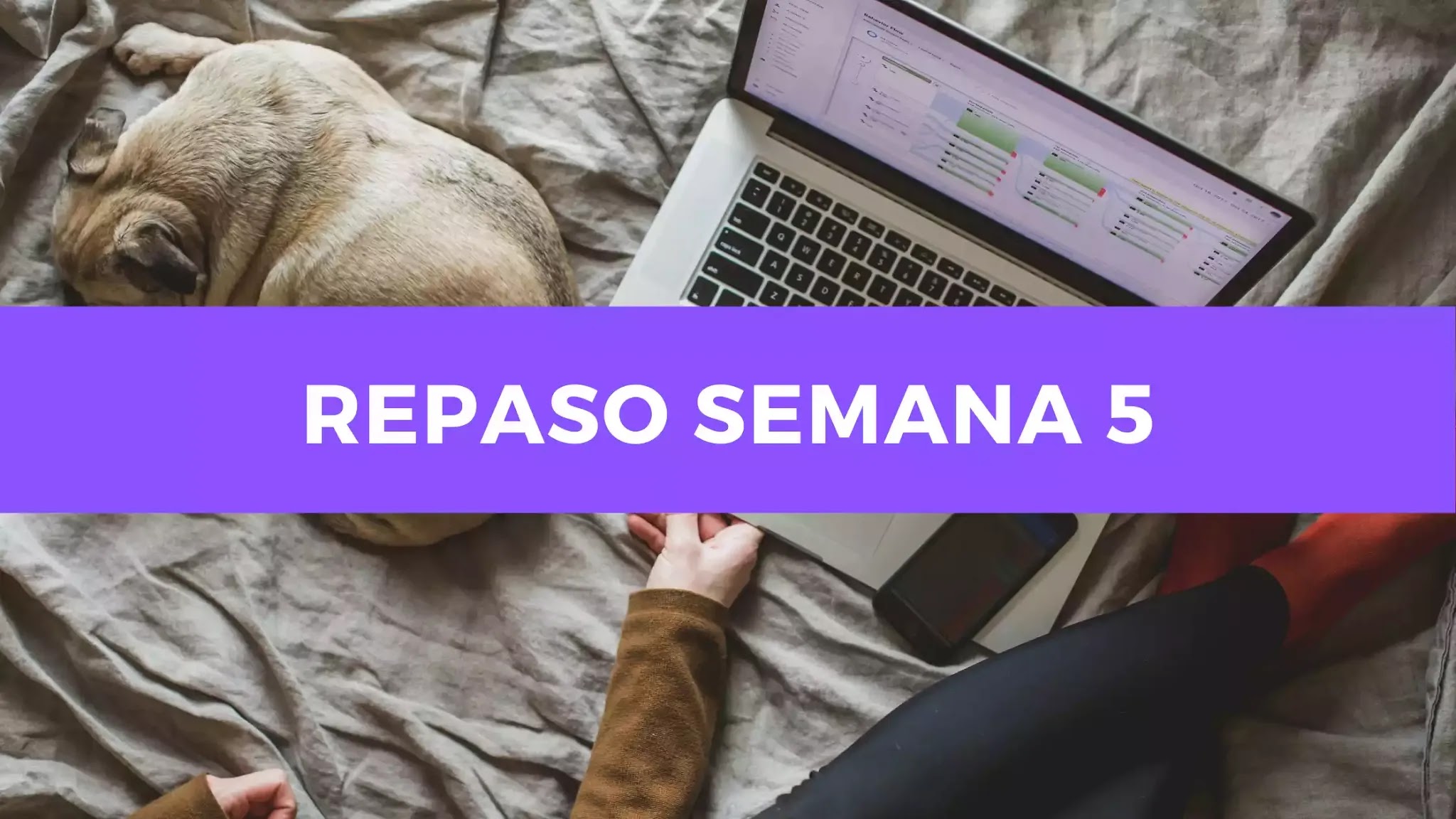 Chino Básico Día 34: Repaso de la semana 5