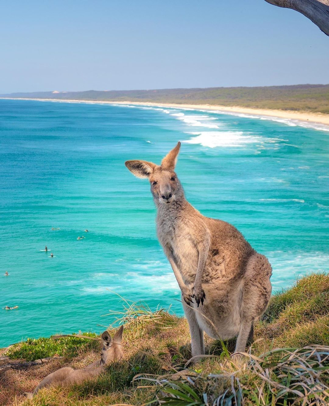 TOURISM AUSTRALIA'S TOP 10 SOCIAL POSTS OF 2020