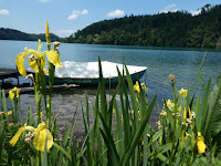 Wohlensee