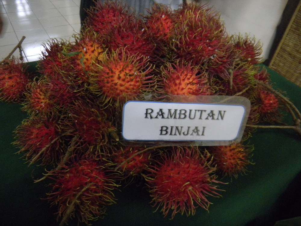 travelplusindonesia Beriwisata ke Kota Rambutan Binjai 