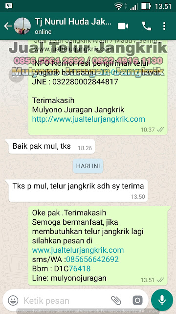 budidaya jangkrik, cara beternak jangkrik, cara budidaya jangkrik, cara ternak jangkrik, jual telur jangkrik, ternak jangkrik