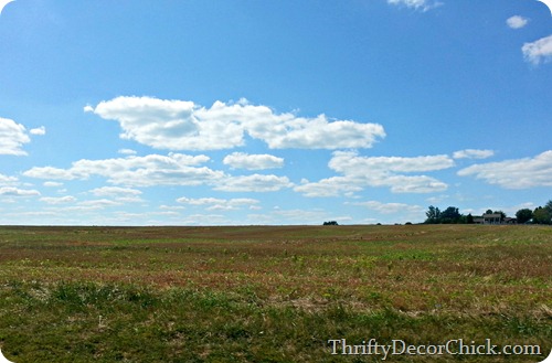 kentucky fields