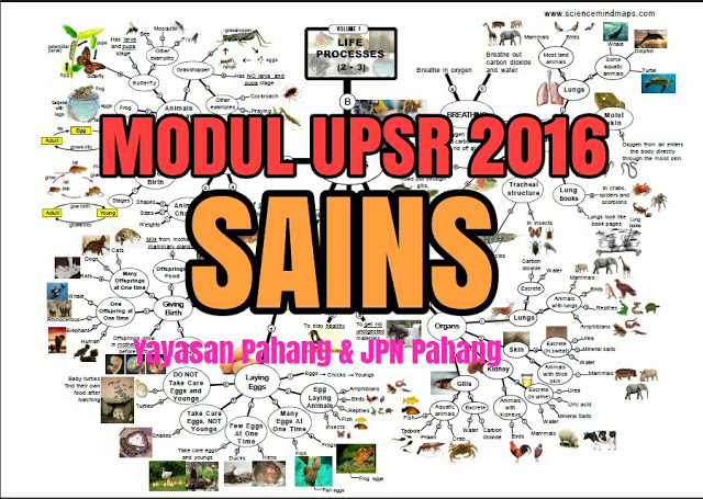 Modul Sains UPSR 2016 Pasti A Yayasan Pahang dan JPN Pahang