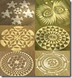 crop-circles