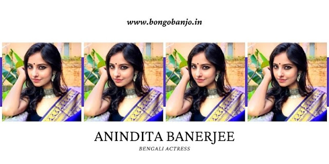 Anindita Banerjee Career