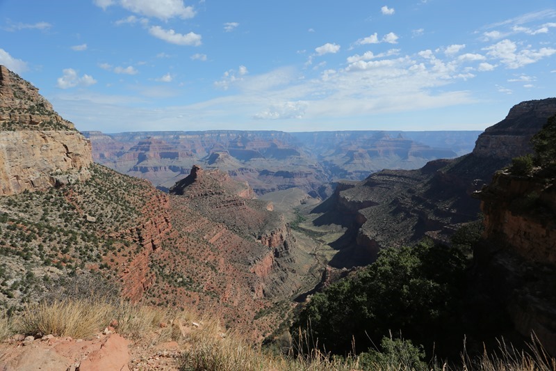 USA_1344
