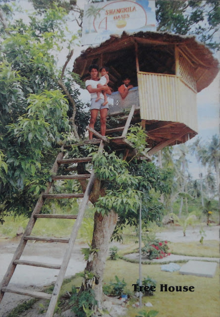Shangrila Oasis Tree House postcard