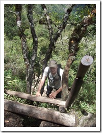 Lucas Climbing down a ladder