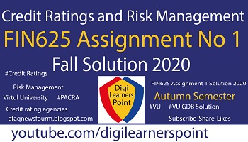 Accept Risk, credit ratings, risk management, Fin625 assignment 1, #digilearnerspoint,