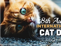 International Cat Day - 08 August.