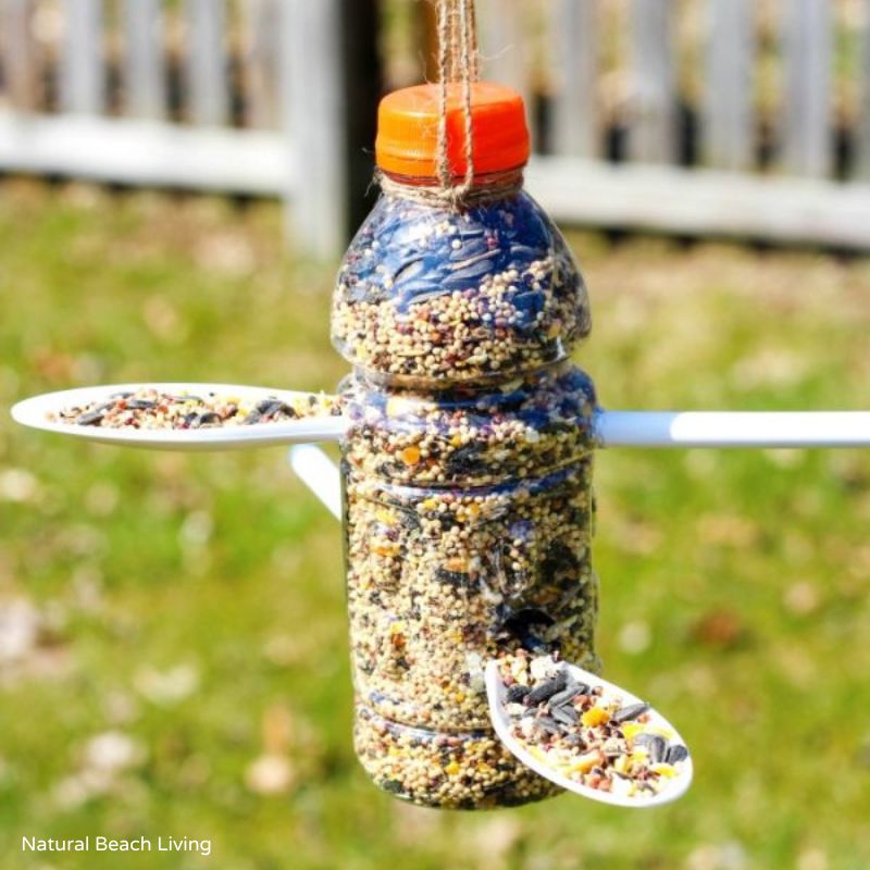 plastic bottle bird feeder