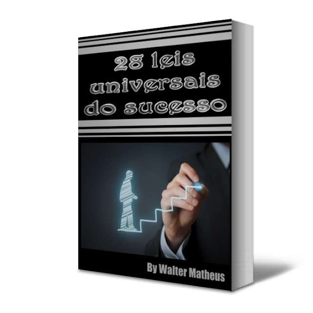 28 Leis Universais De Sucesso Frete Grátis