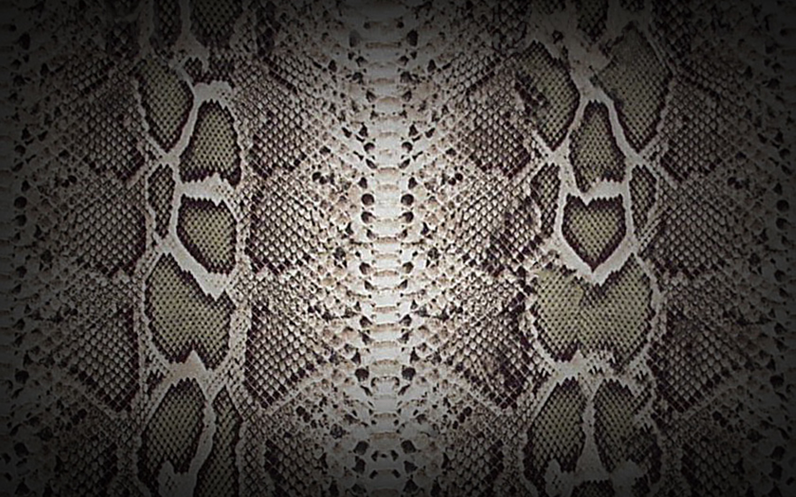 Wallpapers Snake Skin Wallpapers Afalchi Free images wallpape [afalchi.blogspot.com]