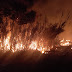 En la semana los bomberos debieron atacar nuevos incendios forestales