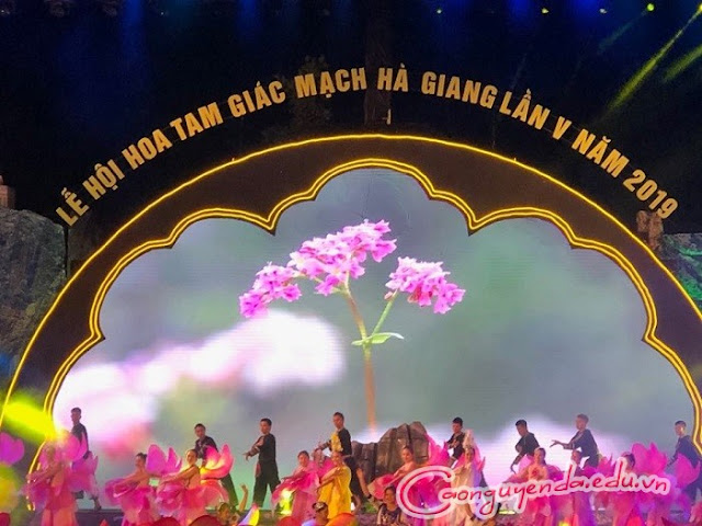 Khai mạc Lễ hội Hoa Tam giác mạch lần thứ V năm 2019,