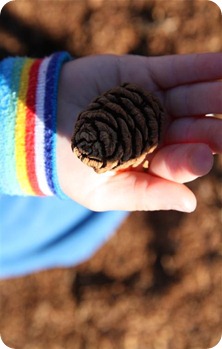 IMG_0539 (Small)